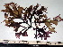  ( - GWS003480)  @11 [ ] CreativeCommons - Attribution Non-Commercial Share-Alike (2010) Unspecified University of New Brunswick