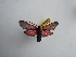  ( - GIRAZ_ED0023)  @11 [ ] Copyright (2023) Drouet Eric Research Collection of Eric Drouet