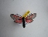  ( - GIRAZ_ED0024)  @11 [ ] Copyright (2023) Drouet Eric Research Collection of Eric Drouet