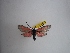  ( - GIRAZ_ED0025)  @11 [ ] Copyright (2023) Drouet Eric Research Collection of Eric Drouet