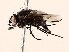  ( - BIOUG56893-E01)  @11 [ ] CreativeCommons - Attribution (2021) CBG Photography Group Centre for Biodiversity Genomics