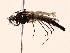  ( - BIOUG56893-E04)  @11 [ ] CreativeCommons - Attribution (2021) CBG Photography Group Centre for Biodiversity Genomics