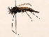  ( - BIOUG56893-E05)  @11 [ ] CreativeCommons - Attribution (2021) CBG Photography Group Centre for Biodiversity Genomics