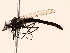  ( - BIOUG56893-F01)  @11 [ ] CreativeCommons - Attribution (2021) CBG Photography Group Centre for Biodiversity Genomics