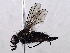  ( - BIOUG56894-A06)  @11 [ ] CreativeCommons - Attribution (2021) CBG Photography Group Centre for Biodiversity Genomics