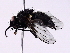  ( - BIOUG56894-H02)  @11 [ ] CreativeCommons - Attribution (2021) CBG Photography Group Centre for Biodiversity Genomics