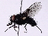  ( - BIOUG56894-H04)  @11 [ ] CreativeCommons - Attribution (2021) CBG Photography Group Centre for Biodiversity Genomics