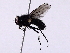  ( - BIOUG56894-H07)  @11 [ ] CreativeCommons - Attribution (2021) CBG Photography Group Centre for Biodiversity Genomics