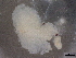  ( - BIOUG76578-A12)  @11 [ ] CreativeCommons - Attribution (2021) CBG Photography Group Centre for Biodiversity Genomics