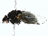  ( - BIOUG97713-D04)  @11 [ ] CreativeCommons - Attribution (2022) CBG Photography Group Centre for Biodiversity Genomics