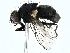  ( - BIOUG97713-F12)  @11 [ ] CreativeCommons - Attribution (2022) CBG Photography Group Centre for Biodiversity Genomics