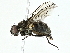  ( - BIOUG97713-G01)  @11 [ ] CreativeCommons - Attribution (2022) CBG Photography Group Centre for Biodiversity Genomics