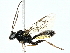  ( - BIOUG97713-G02)  @11 [ ] CreativeCommons - Attribution (2022) CBG Photography Group Centre for Biodiversity Genomics