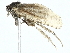  ( - BIOUG97713-G04)  @11 [ ] CreativeCommons - Attribution (2022) CBG Photography Group Centre for Biodiversity Genomics