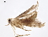  (malaiseGraci01 Malaise6160 - BIOUG27939-D10)  @13 [ ] CreativeCommons - Attribution (2020) CBG Photography Group Centre for Biodiversity Genomics