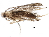  (malaiseGraci01 Malaise1013 - BIOUG28000-B12)  @13 [ ] CreativeCommons - Attribution (2016) CBG Photography Group Centre for Biodiversity Genomics