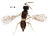  ( - BIOUG28000-C09)  @13 [ ] CreativeCommons - Attribution (2016) CBG Photography Group Centre for Biodiversity Genomics