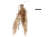  ( - BIOUG28070-A05)  @11 [ ] CreativeCommons - Attribution (2018) CBG Photography Group Centre for Biodiversity Genomics