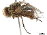  ( - BIOUG28273-E07)  @11 [ ] CreativeCommons - Attribution (2019) CBG Photography Group Centre for Biodiversity Genomics