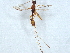  ( - BIOUG28383-H04)  @11 [ ] CreativeCommons - Attribution (2022) CBG Photography Group Centre for Biodiversity Genomics