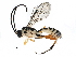  ( - BIOUG27990-B11)  @14 [ ] CreativeCommons - Attribution (2016) CBG Photography Group Centre for Biodiversity Genomics