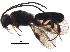  ( - BIOUG28037-E12)  @11 [ ] CreativeCommons - Attribution (2017) CBG Photography Group Centre for Biodiversity Genomics