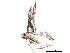  (malaiseGraci01 malaise0610 - BIOUG19724-F07)  @13 [ ] CreativeCommons - Attribution (2015) CBG Photography Group Centre for Biodiversity Genomics