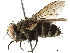  ( - BIOUG19932-B11)  @11 [ ] CreativeCommons - Attribution (2019) CBG Photography Group Centre for Biodiversity Genomics