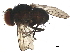  ( - BIOUG22612-H02)  @11 [ ] CreativeCommons - Attribution (2019) CBG Photography Group Centre for Biodiversity Genomics