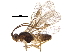  ( - BIOUG23962-H07)  @11 [ ] CreativeCommons - Attribution (2017) CBG Photography Group Centre for Biodiversity Genomics