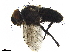  ( - BIOUG24702-C07)  @11 [ ] CreativeCommons - Attribution (2019) CBG Photography Group Centre for Biodiversity Genomics