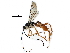  (cryptJanzen01 Malaise4104 - BIOUG24823-F08)  @14 [ ] CreativeCommons - Attribution (2016) CBG Photography Group Centre for Biodiversity Genomics