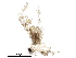  (malaiseGraci01 Malaise2265 - BIOUG24995-H02)  @13 [ ] CreativeCommons - Attribution (2016) CBG Photography Group Centre for Biodiversity Genomics