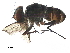  ( - BIOUG24962-H08)  @11 [ ] CreativeCommons - Attribution (2019) CBG Photography Group Centre for Biodiversity Genomics