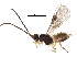  ( - BIOUG28116-H08)  @11 [ ] CreativeCommons - Attribution (2017) CBG Photography Group Centre for Biodiversity Genomics