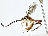  ( - BIOUG77745-H09)  @11 [ ] CreativeCommons - Attribution (2022) CBG Photography Group Centre for Biodiversity Genomics