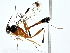  ( - BIOUG77747-C09)  @11 [ ] CreativeCommons - Attribution (2022) CBG Photography Group Centre for Biodiversity Genomics