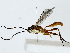  ( - BIOUG89930-F12)  @11 [ ] CreativeCommons - Attribution (2022) CBG Photography Group Centre for Biodiversity Genomics