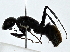  ( - BIOUG89931-D12)  @11 [ ] CreativeCommons - Attribution (2022) CBG Photography Group Centre for Biodiversity Genomics