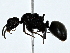  ( - BIOUG89931-G10)  @11 [ ] CreativeCommons - Attribution (2022) CBG Photography Group Centre for Biodiversity Genomics