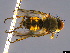  ( - BIOUG84664-B10)  @11 [ ] CreativeCommons - Attribution (2022) Donald Hobern International Barcode of Life Project