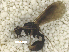  ( - MACN-Bar-Ins-ct 08291)  @13 [ ] Copyright (2019) Pablo L Tubaro MACN