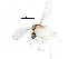  ( - BIOUG25243-D02)  @13 [ ] CreativeCommons - Attribution (2016) CBG Photography Group Centre for Biodiversity Genomics