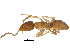 ( - BIOUG23425-G08)  @14 [ ] CreativeCommons - Attribution (2015) CBG Photography Group Centre for Biodiversity Genomics