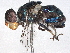  ( - BIOUG41227-G10)  @11 [ ] CreativeCommons - Attribution (2022) CBG Photography Group Centre for Biodiversity Genomics