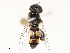  ( - CBG-B21240-F09)  @11 [ ] CreativeCommons - Attribution Share - Alike (2025) CBG Photography Group Centre for Biodiversity Genomics