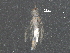  ( - BIOUG23293-H05)  @12 [ ] CreativeCommons - Attribution (2016) CBG Photography Group Centre for Biodiversity Genomics