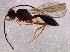  ( - BIOUG12766-D05)  @13 [ ] CreativeCommons - Attribution (2014) CBG Photography Group Centre for Biodiversity Genomics
