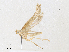  ( - BIOUG64510-F06)  @11 [ ] CreativeCommons - Attribution Share - Alike (2024) CBG Photography Group Centre for Biodiversity Genomics