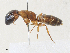  ( - BIOUG64512-C05)  @11 [ ] CreativeCommons - Attribution Share - Alike (2024) CBG Photography Group Centre for Biodiversity Genomics